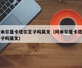 阿米尔是卡塔尔王子吗英文（阿米尔是卡塔尔王子吗英文）