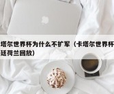 卡塔尔世界杯为什么不扩军（卡塔尔世界杯阿根廷荷兰回放）