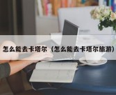 怎么能去卡塔尔（怎么能去卡塔尔旅游）