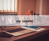 uip（uipath）