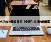 卡塔尔沙漠玫瑰图（卡塔尔沙漠玫瑰图片）