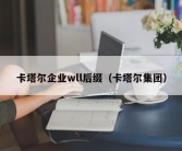 卡塔尔企业wll后缀（卡塔尔集团）