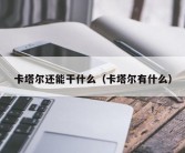 卡塔尔还能干什么（卡塔尔有什么）