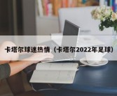 卡塔尔球迷热情（卡塔尔2022年足球）