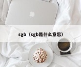 sgb（sgb是什么意思）