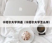 卡塔尔大学待遇（卡塔尔大学怎么样）