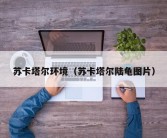 苏卡塔尔环境（苏卡塔尔陆龟图片）